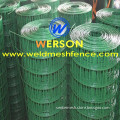 green chicken mesh, chicken weld wire mesh| werson